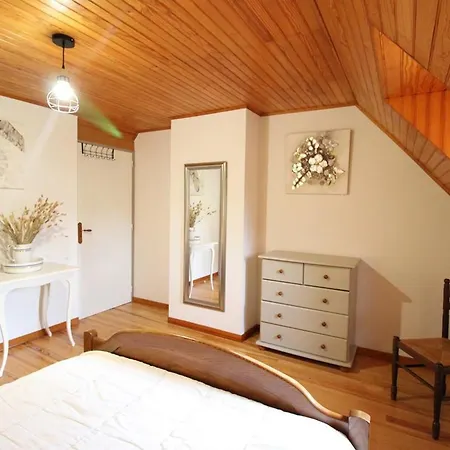 Charmante Maison Au Coeur Du Parc Des Volcans D'auvergne, Ideale Pour 4 Pers Avec Cheminee Et Jardin - Fr-1-742-371